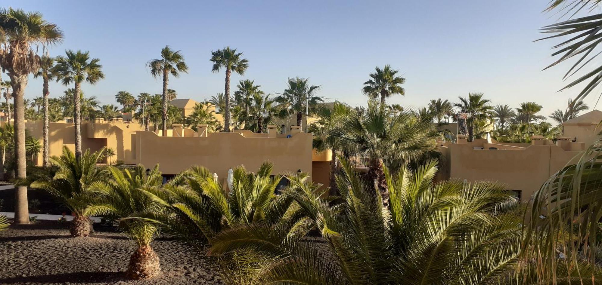 Oasis Waves House Papagayo Apartment Corralejo Exterior photo